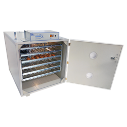 incubator Kenya
