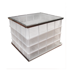 incubator Tanzania