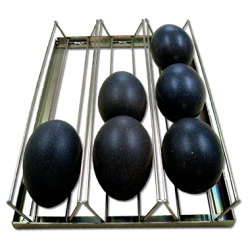 Plateau voor emoe-eieren