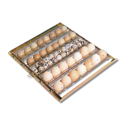 Plateau pour oeufs de poules