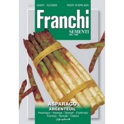 asperge Argenteuil