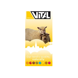 Nourriture mouton Vital