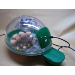 Couveuse Smart automatique