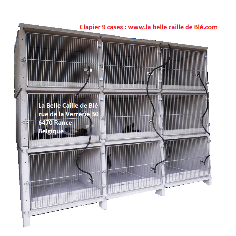 clapier en béton 9 cases