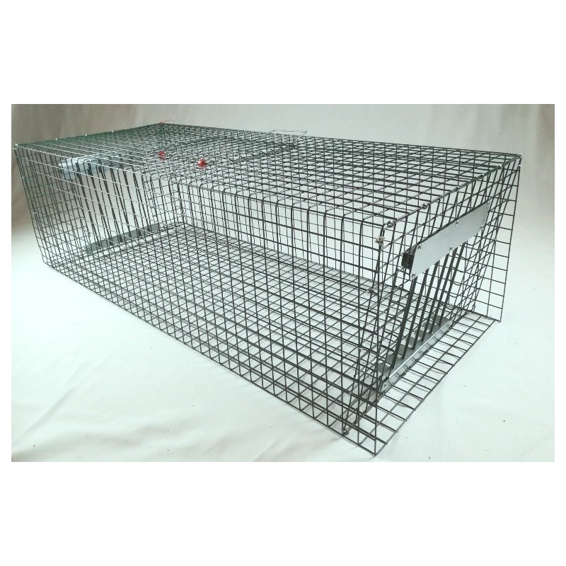 CAGE CAPTURE PIGEONS