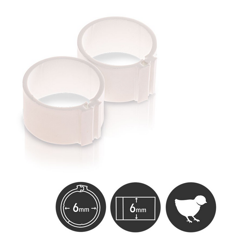 bague poussin bague poussin