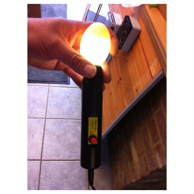 Mire oeufs professionnel