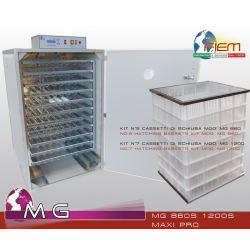 Incubator Sierra Leone