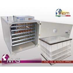 incubator Zimbawe