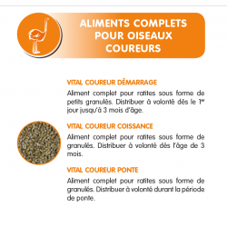 alimentation des ratites