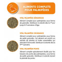 alimentation des palmipède