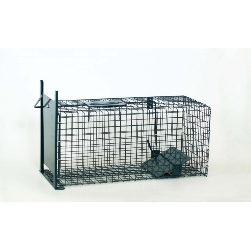 Petigi Piège à Animaux Humaine Animal Vivant Piège 102 x 20 x 27 cm Cage  Chat Fouine Martre : : Jardin