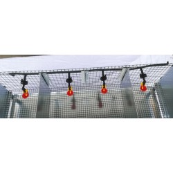 Automatic quail cage drinker