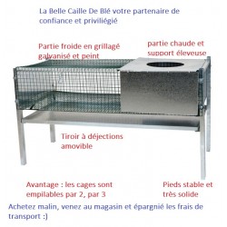 maternité poussin maternité poussin