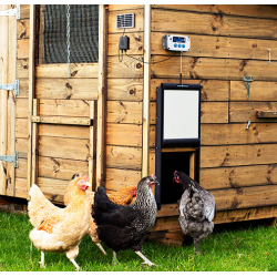 Kit solaire pour chickenguard