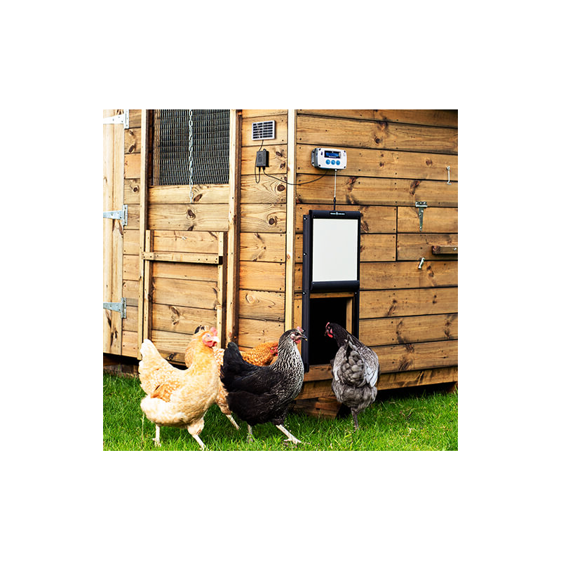 Kit solaire pour chickenguard