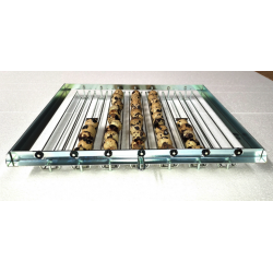 incubator fiem