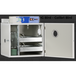 Incubator Colibri - Bird
