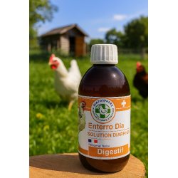 Enterro-Dia- 250 ml - Prof