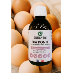 dia ponte +++ œufs fécondés +++ qualité