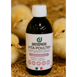 vitamines poussins