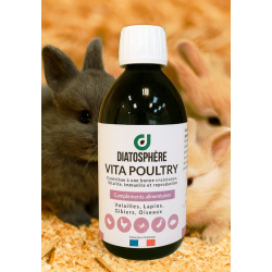 vitamines lapins