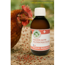 Anti poux poule