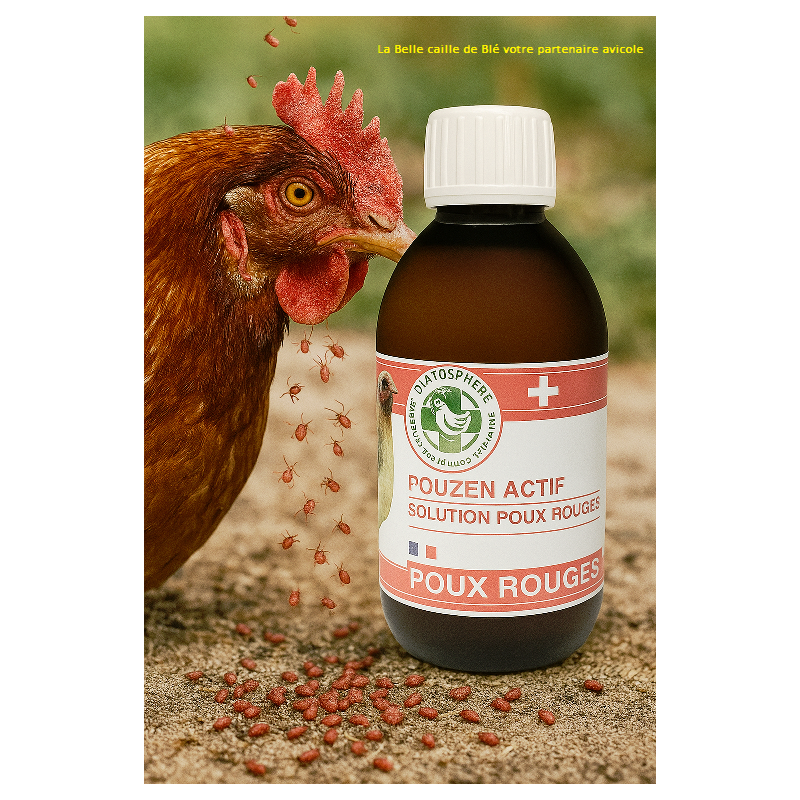 Anti poux poule
