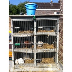 cages lapins en béton