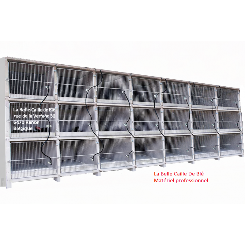 grand clapier élevage professionnel du lapin