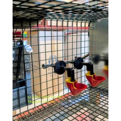 Abreuvoir cage Cimuka