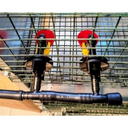 automatische drinkbakken Kwartels