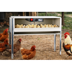 Professioneel moederschap Fiem