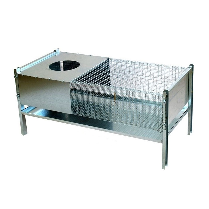 Cage économique pour poussins Cage économique pour poussins