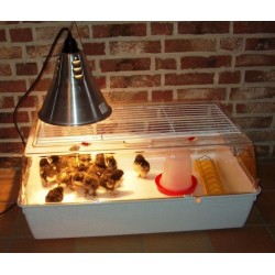 Moederschap in PVC (Groot...