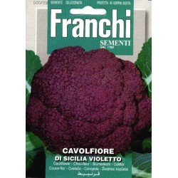 Chou-fleur cavolfiore...