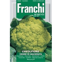 Chou-fleur cavolfiore verde...