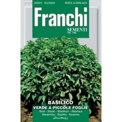 Basilic - basilico fine...