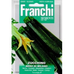Courgette-Zucchino nero milano