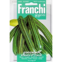 Courgette-Zucchino striato...