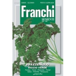 Persil-Prezzemolo riccio verde