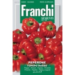 Poivron-peperone topepo rosso