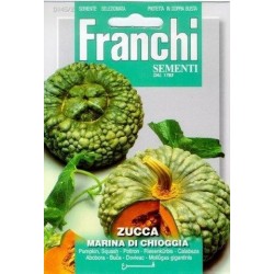 Potiron-Zucca marina di...