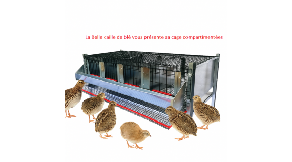 Cages  Cailles - Volailles - Accessoires cages cailles et