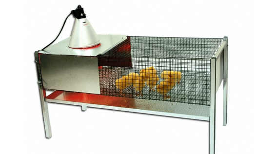 Cage pour poussin - Maternité poussin et accessoires et