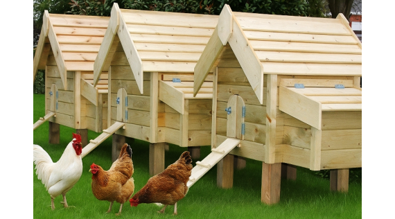 Poulaillers en bois Artisanal 