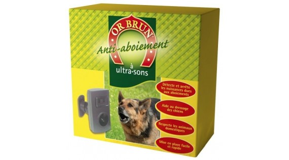 Accessoires chien 