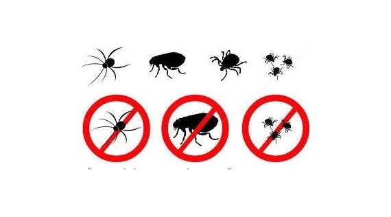 Insecticides, vliegende en kruipende insecten