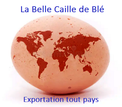couveuse Fiem pour oiseaux