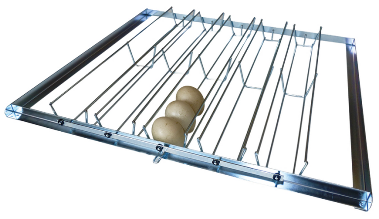 plateaux couveuse